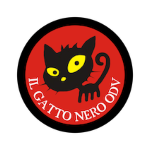 Progetti no profit 5 no profit il gatto nero